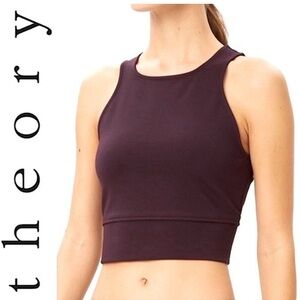 Theory Tenteg Plum Crop Top, S